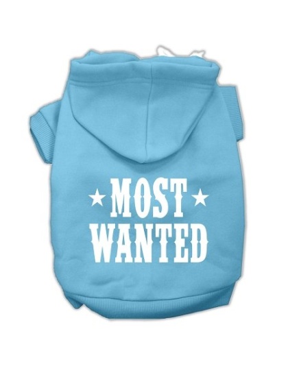 Most Wanted Screen Print Pet Hoodies Baby Blue Size Lg