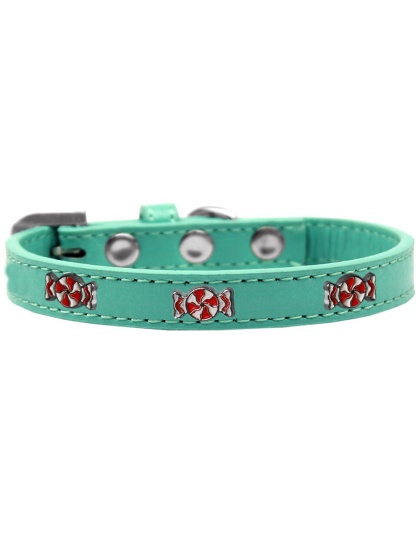 Peppermint Widget Dog Collar Aqua Size 10