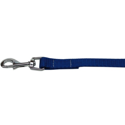 Plain Nylon Pet Leash 1in by 4ft Blue