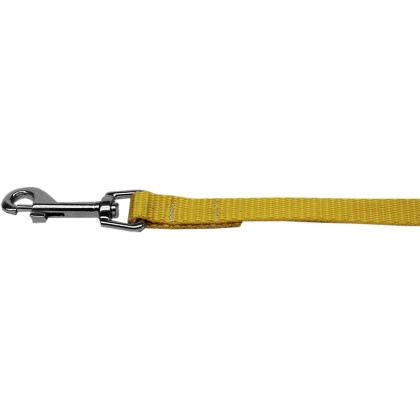 Plain Nylon Pet Leash 1in by 4ft Golden Yellow