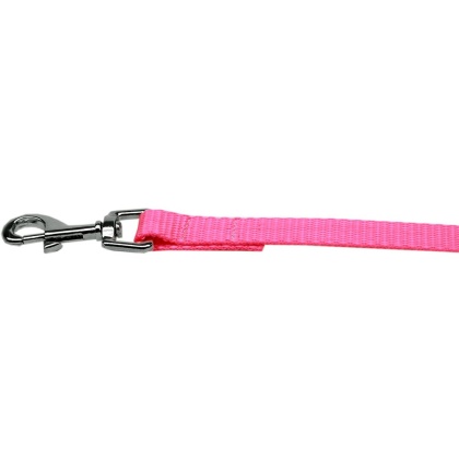 Plain Nylon Pet Leash 1in by 4ft Hot Pink