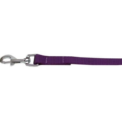 Plain Nylon Pet Leash 1in by 4ft Purple