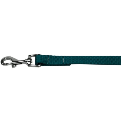 Plain Nylon Pet Leash 1in by 4ft Teal