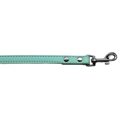 Premium plain pet leash 1/2" wide x 4' long Aqua
