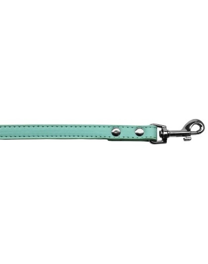 Premium plain pet leash 1/2" wide x 4' long Aqua