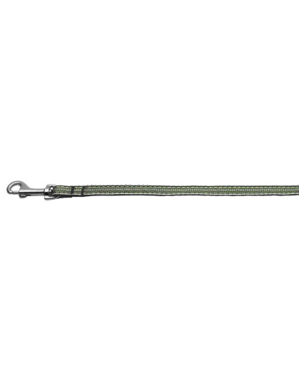 Preppy Stripes Nylon Ribbon Collars Green/White 3/8 wide 4Ft Lsh