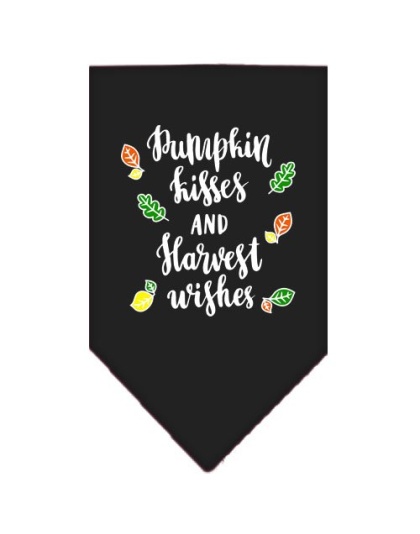 Pumpkin Kisses Screen Print Bandana Black Large