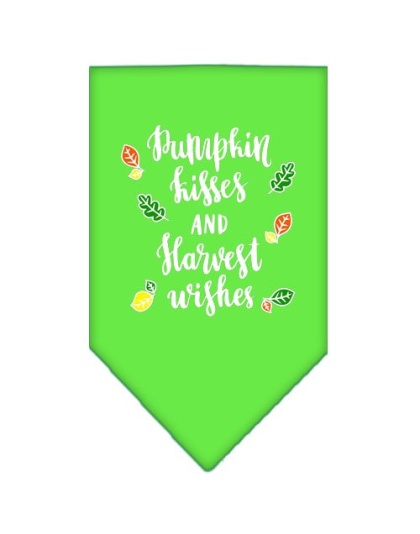 Pumpkin Kisses Screen Print Bandana Lime Green Large