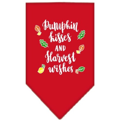 Pumpkin Kisses Screen Print Bandana Red Large