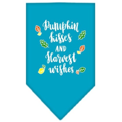 Pumpkin Kisses Screen Print Bandana Turquoise Large