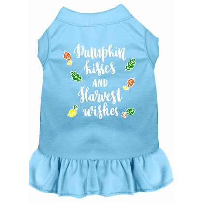 Pumpkin Kisses Screen Print Dog Dress Baby Blue 4X (22)