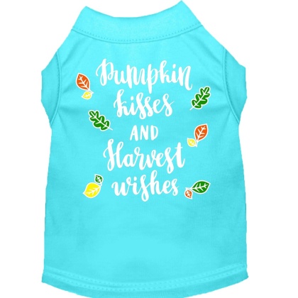 Pumpkin Kisses Screen Print Dog Shirt Aqua Lg