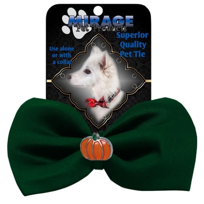 Pumpkin Widget Pet Bowtie Green