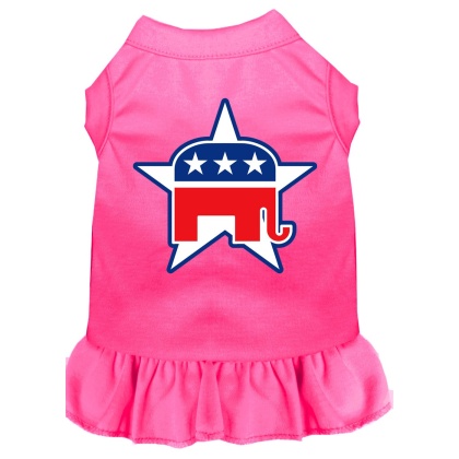 Republican Screen Print Dress Bright Pink 4X (22)