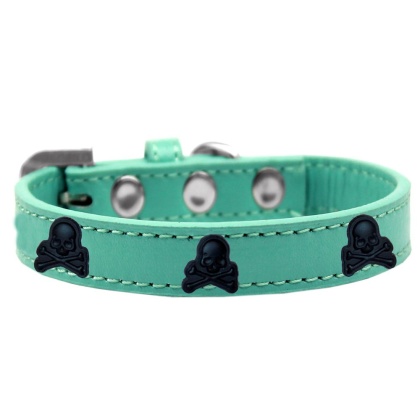 Skull Widget Dog Collar Aqua Size 10