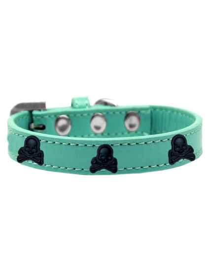 Skull Widget Dog Collar Aqua Size 10