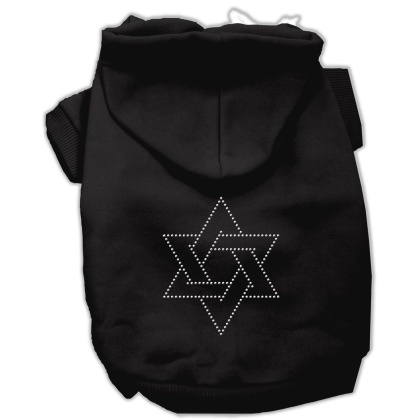 Star of David Hoodies Black L