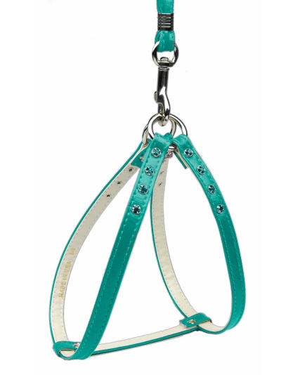 Step-In Harness Turquoise w/ Turq Stones 10