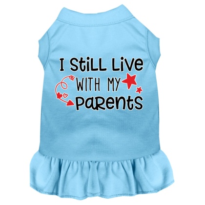 Still Live with my Parents Screen Print Dog Dress Baby Blue 4X (22)