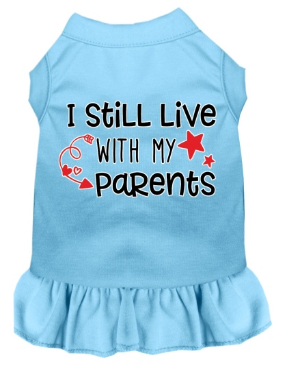 Still Live with my Parents Screen Print Dog Dress Baby Blue 4X (22)