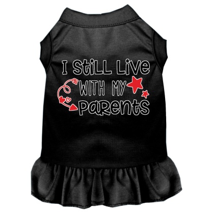 Still Live with my Parents Screen Print Dog Dress Black 4X (22)