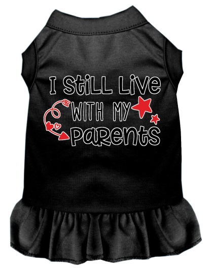 Still Live with my Parents Screen Print Dog Dress Black 4X (22)
