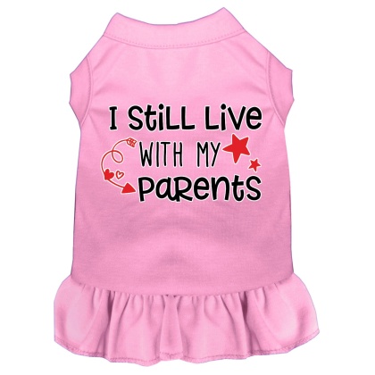 Still Live with my Parents Screen Print Dog Dress Light Pink 4X (22)