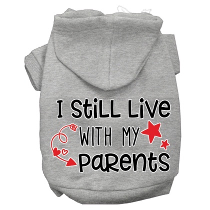 Still Live with my Parents Screen Print Dog Hoodie Grey L
