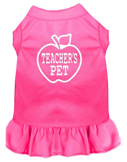 Teachers Pet Screen Print Dress Bright Pink 4X (22)