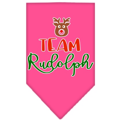 Team Rudolph Screen Print Bandana Bright Pink Large