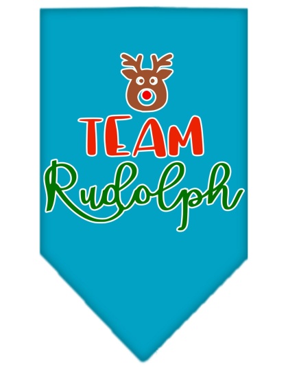 Team Rudolph Screen Print Bandana Turquoise Large