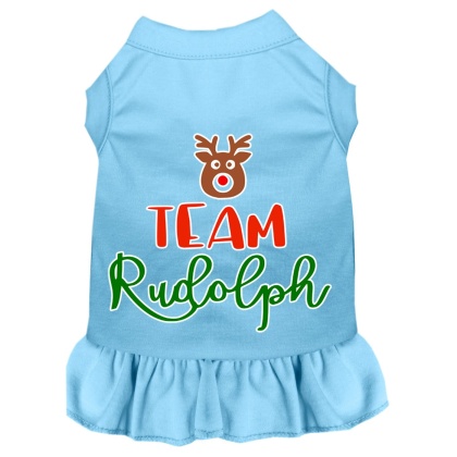 Team Rudolph Screen Print Dog Dress Baby Blue 4X