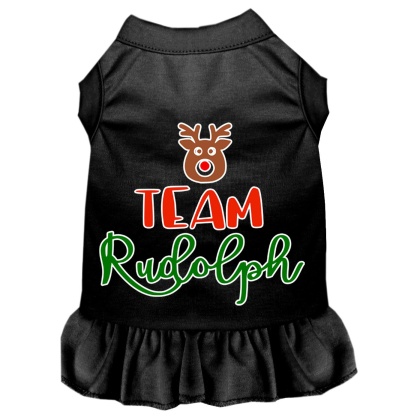 Team Rudolph Screen Print Dog Dress Black 4X