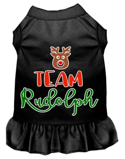 Team Rudolph Screen Print Dog Dress Black 4X