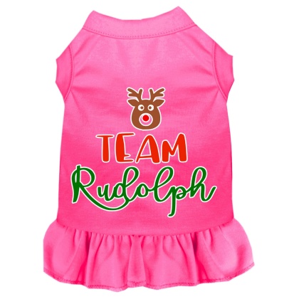 Team Rudolph Screen Print Dog Dress Bright Pink 4X