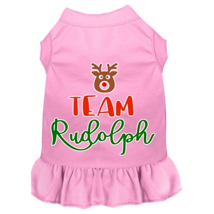 Team Rudolph Screen Print Dog Dress Light Pink 4X