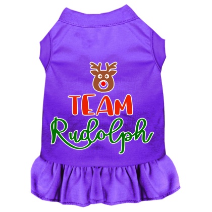 Team Rudolph Screen Print Dog Dress Purple 4X