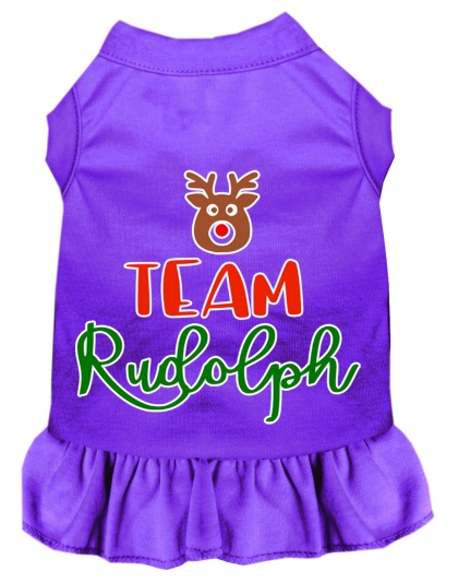 Team Rudolph Screen Print Dog Dress Purple 4X