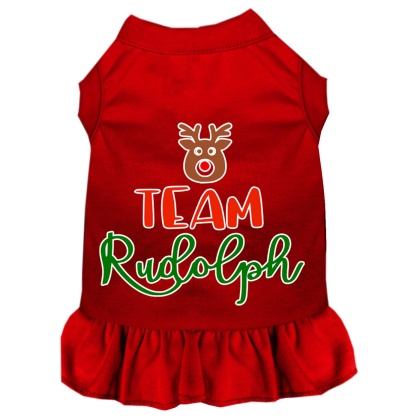 Team Rudolph Screen Print Dog Dress Red 4X