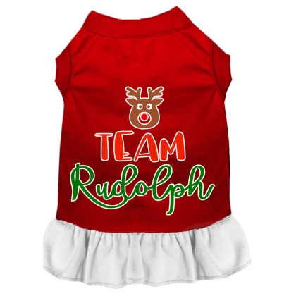 Team Rudolph Screen Print Dog Dress Red with White Lg