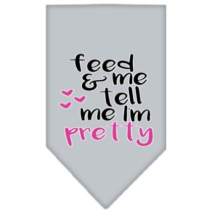 Tell me I'm Pretty Screen Print Pet Bandana Grey Large