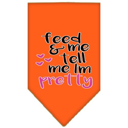 Tell me I'm Pretty Screen Print Pet Bandana Orange Large