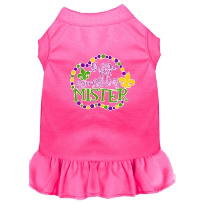 Throw me Something Screen Print Mardi Gras Dog Dress Bright Pink 4X