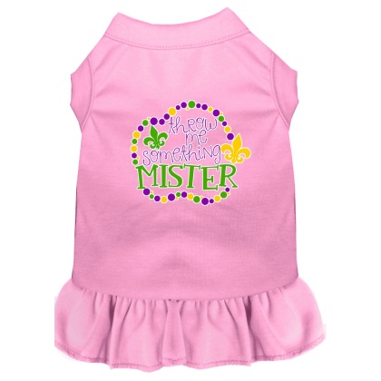Throw me Something Screen Print Mardi Gras Dog Dress Light Pink 4X