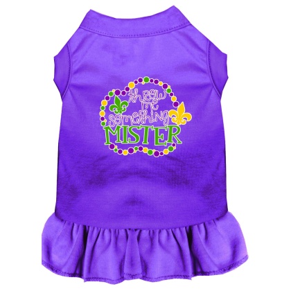 Throw me Something Screen Print Mardi Gras Dog Dress Purple 4X