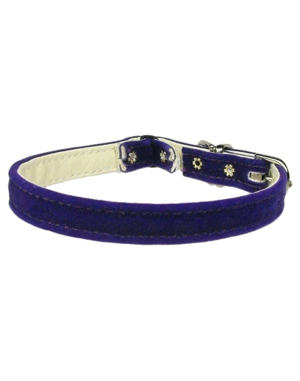 Velvet 3/8" Plain Cat Collar w/ Band Purple 10