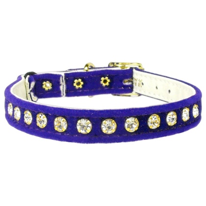 Velvet Cat Safety w/Band Collar Purple 10