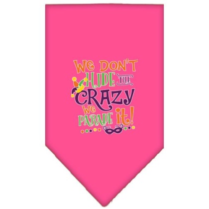 We Don't Hide the Crazy Screen Print Mardi Gras Bandana Bright Pink Large