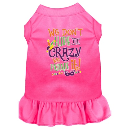 We Don't Hide the Crazy Screen Print Mardi Gras Dog Dress Bright Pink 4X