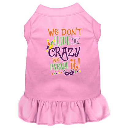 We Don't Hide the Crazy Screen Print Mardi Gras Dog Dress Light Pink 4X
